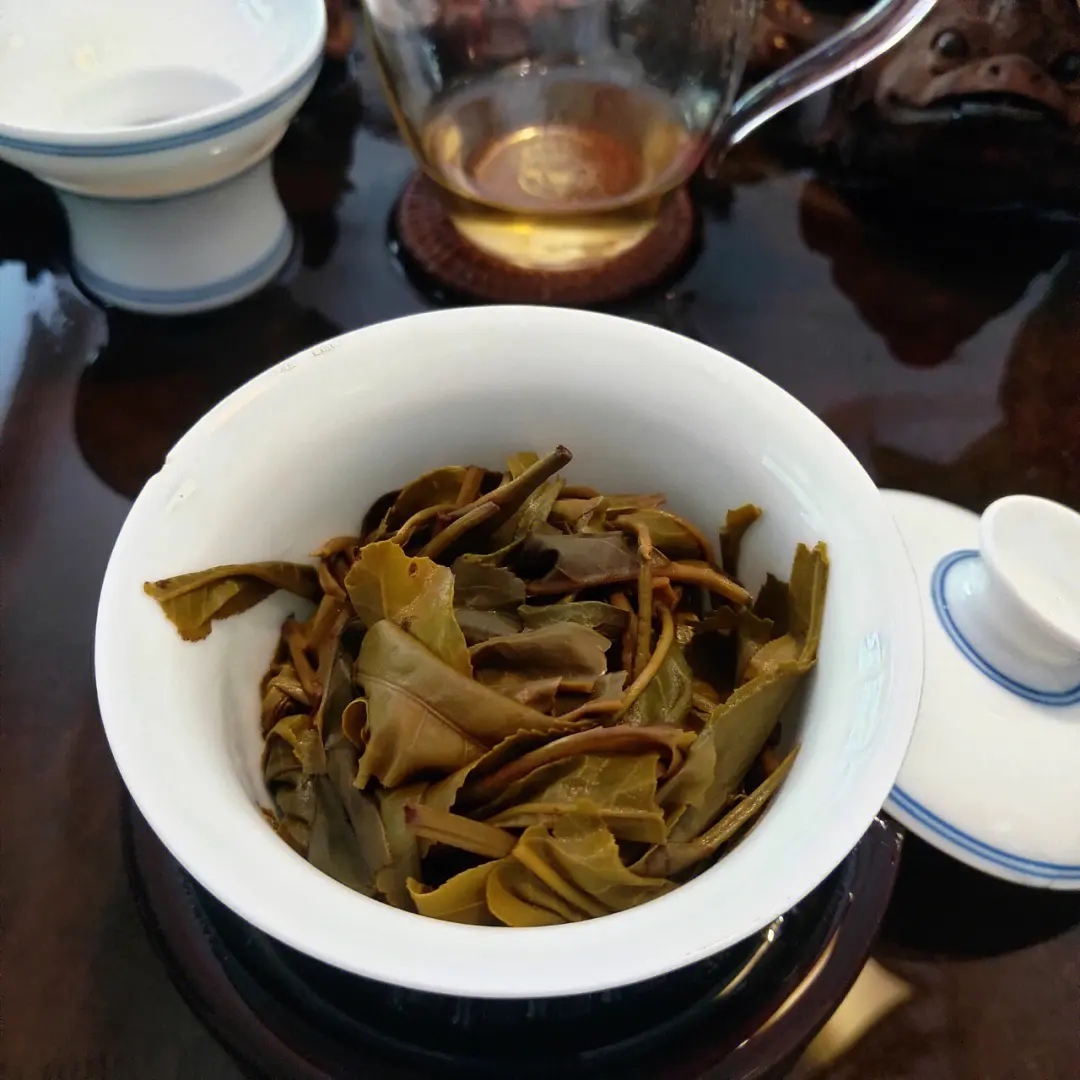 2023年昔歸古樹春茶口感如何？