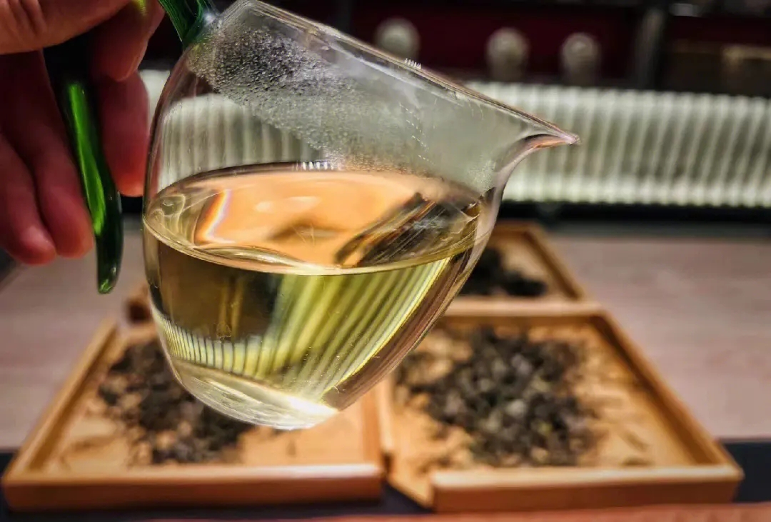 2023年鳳凰窩古樹春茶價(jià)格是多少？