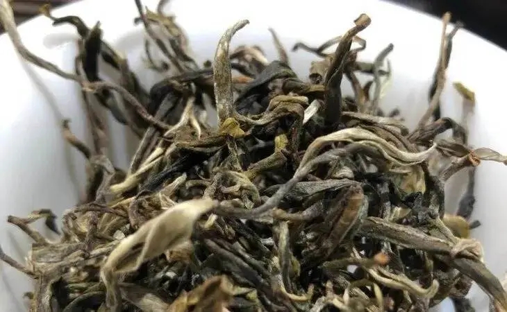 2023年鳳凰窩古樹春茶多少一公斤？