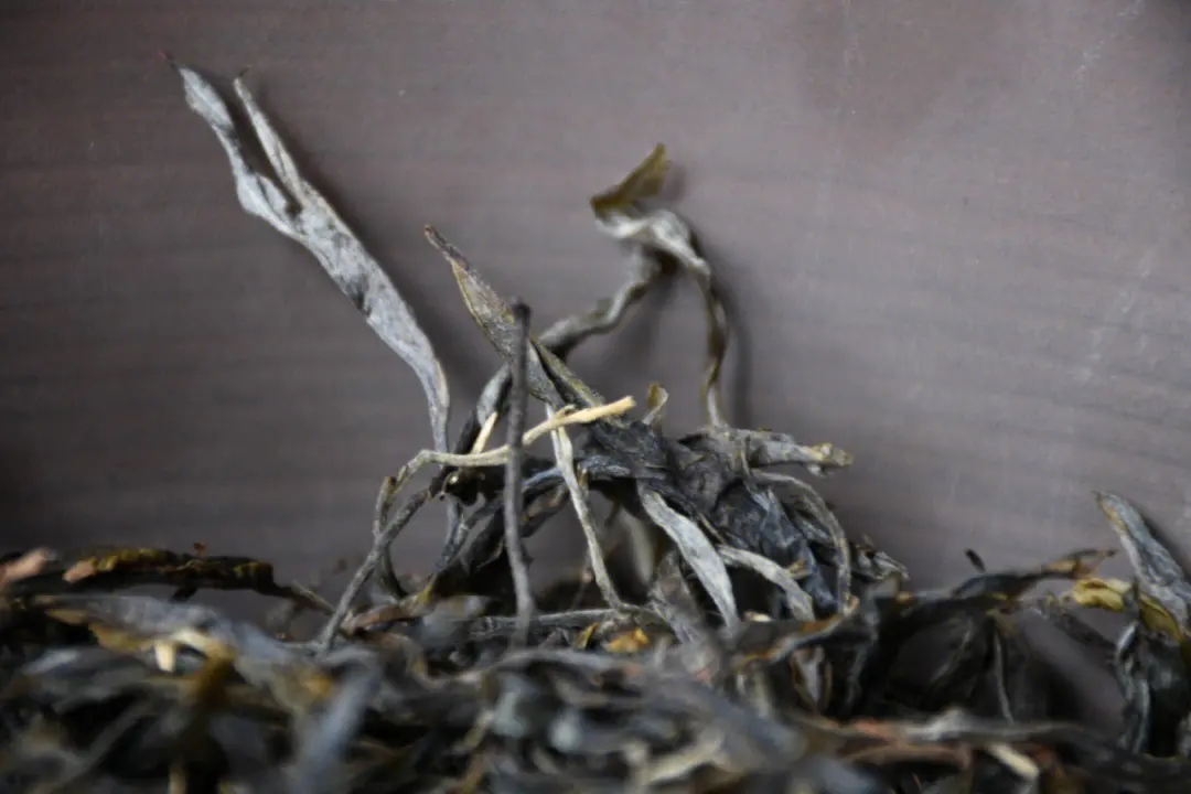 2023年正氣塘古樹春茶多少一公斤？