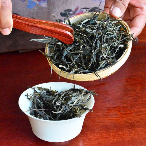 2023年地界古樹春茶口感是什么？