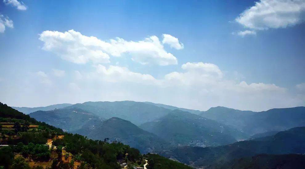 2023年勐庫大忠山古樹春茶價(jià)格是多少？