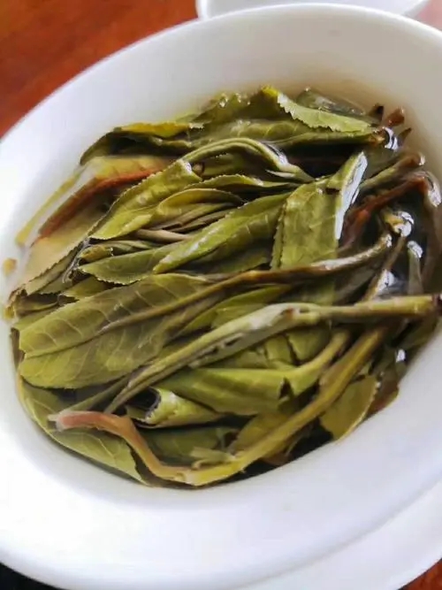 2023年鍋底塘古樹春茶特點(diǎn)是什么？