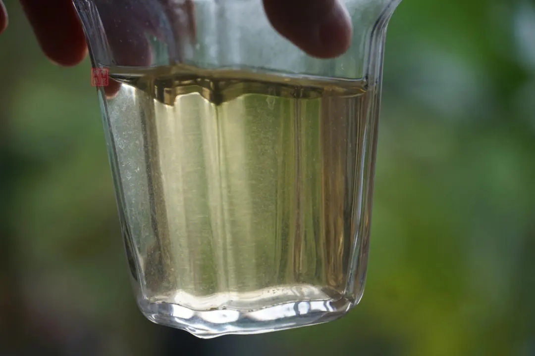 2023年多依樹(shù)古樹(shù)春茶價(jià)格是多少？