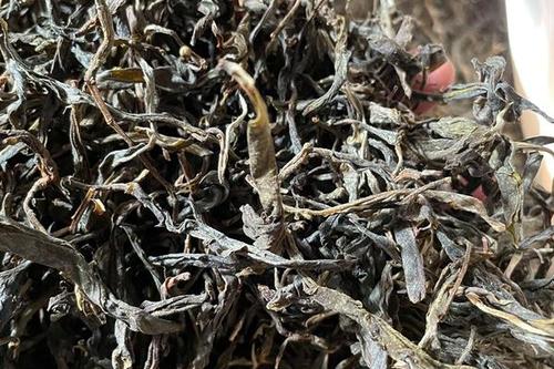 2023年鎮(zhèn)沅老烏山古樹(shù)春茶多少一公斤？