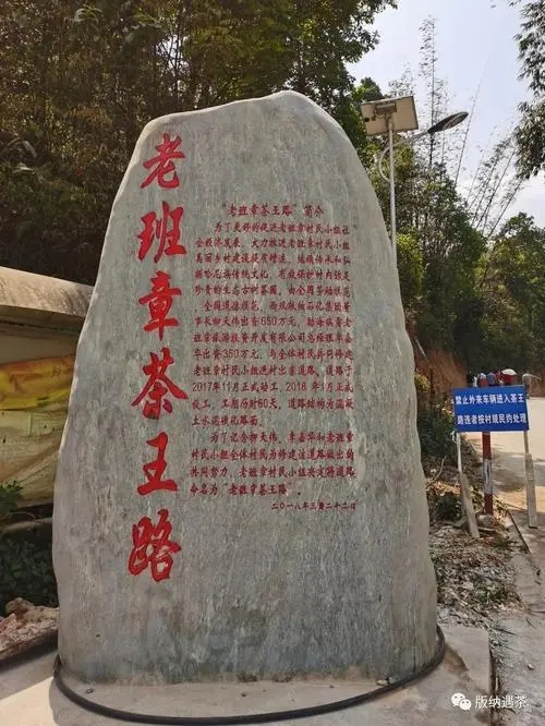 2024年老班章古樹春茶品質(zhì)如何？