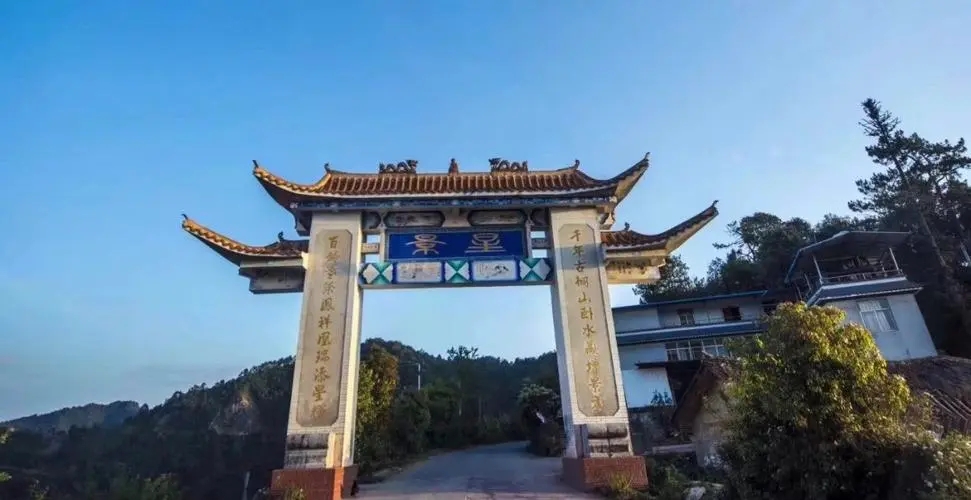 2024年墨江鳳凰窩古樹春茶特點(diǎn)是什么？