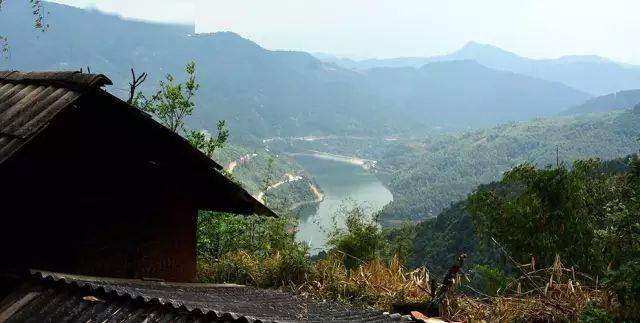 2024年磨烈古樹春茶價(jià)格多少？