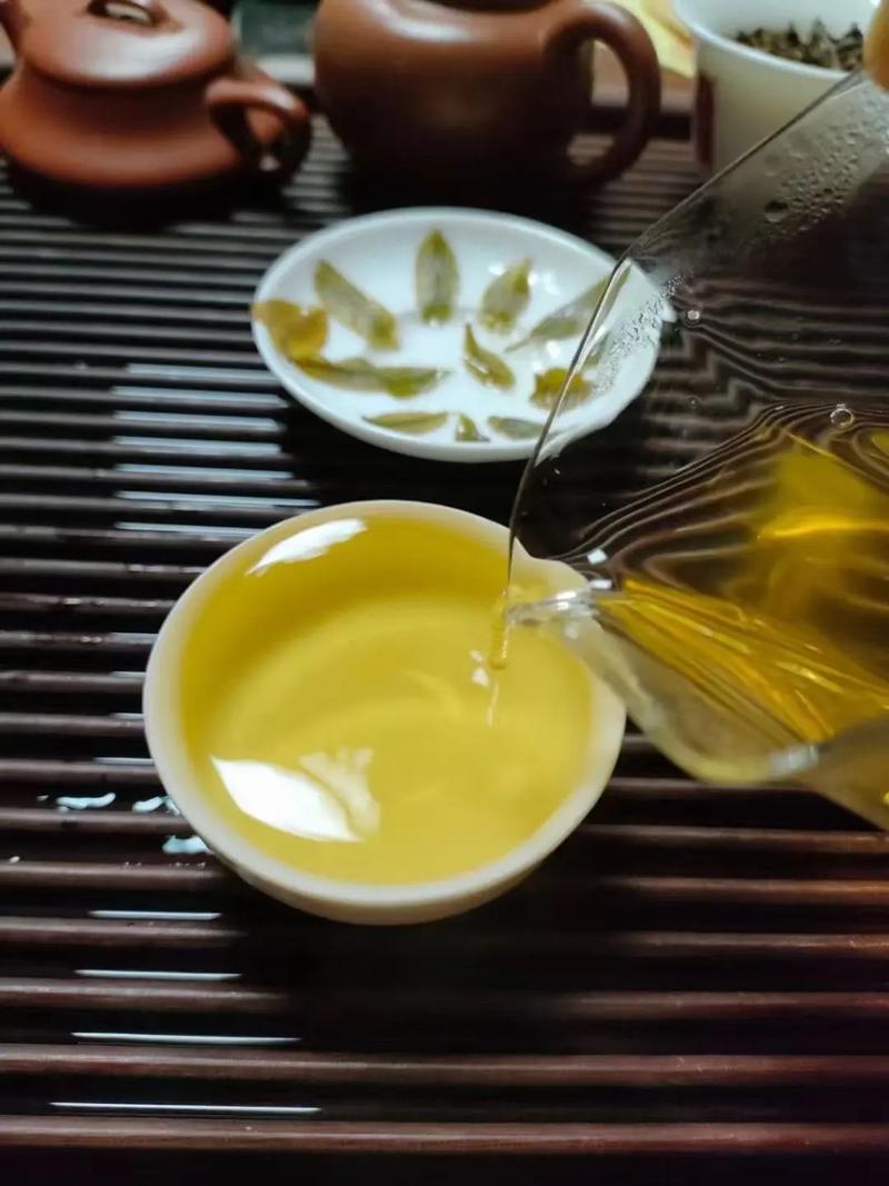 倚邦貢茶，甘甜醇柔