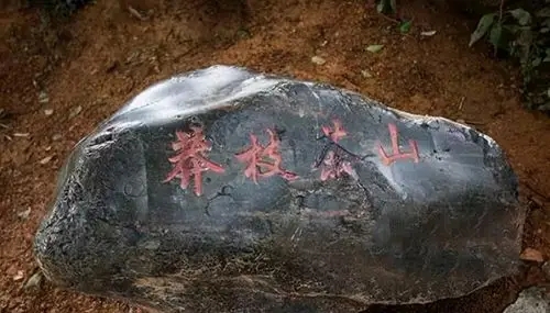 歷經(jīng)繁華后寂寂無名的古茶山——莽枝